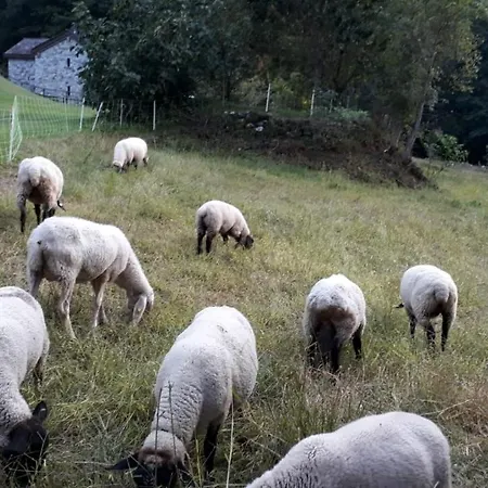 La Casa Delle Castagne Piuro