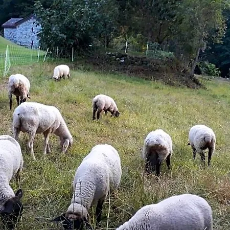 فندق مبيت وإفطار La Casa Delle Castagne Piuro
